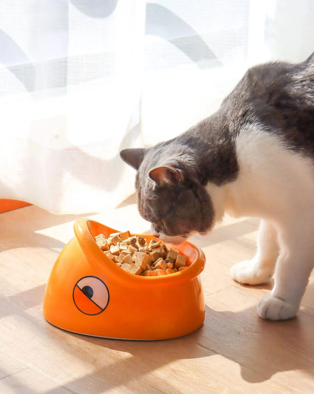 Orange ceramic pet food bowl with fish head pattern, 196x121x149mm, on floor