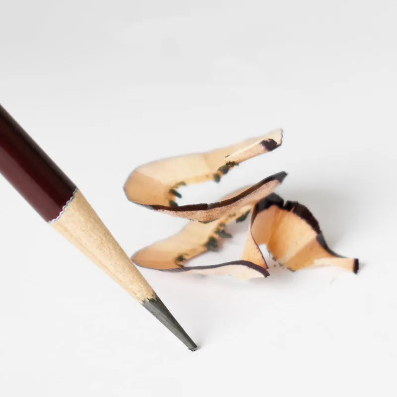 Professional charcoal drawing set with 34 pencil types including soft carbon tools and grades from 2H to EE