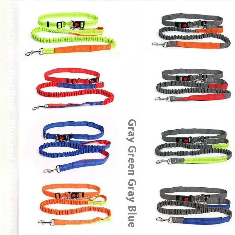 Reflective elastic dog leash in two-tone colours with 2.5cm width nylon construction