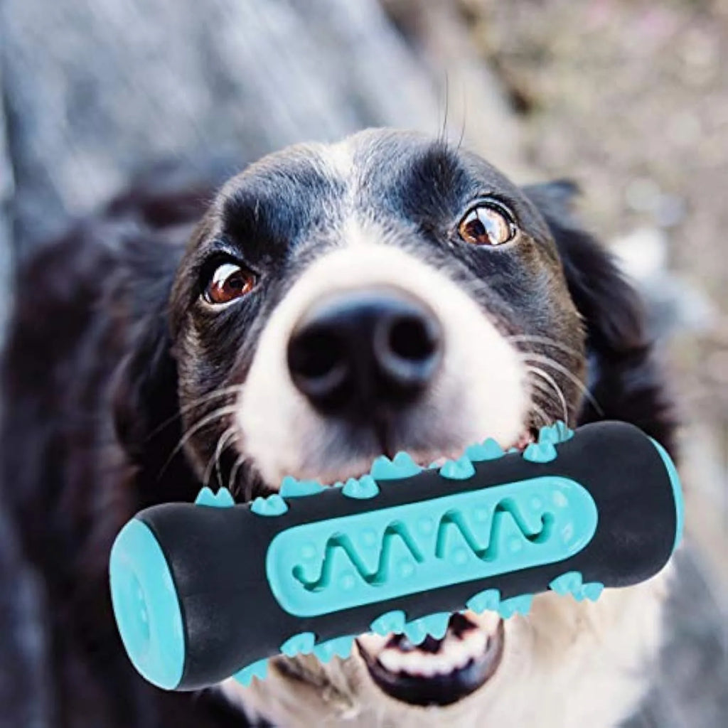 Natural rubber dog toothbrush chew toy in blue, measuring 15cm long