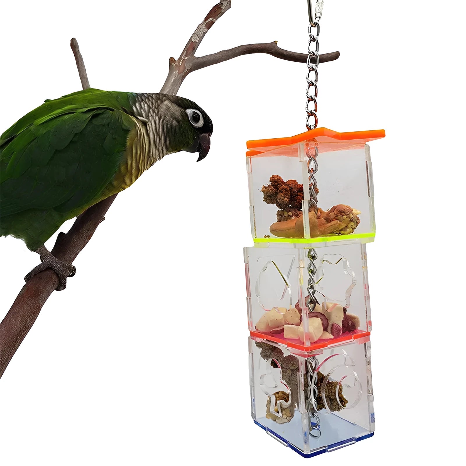 Clear acrylic parrot foraging toy measuring 5cm by 32cm for bird food and treats