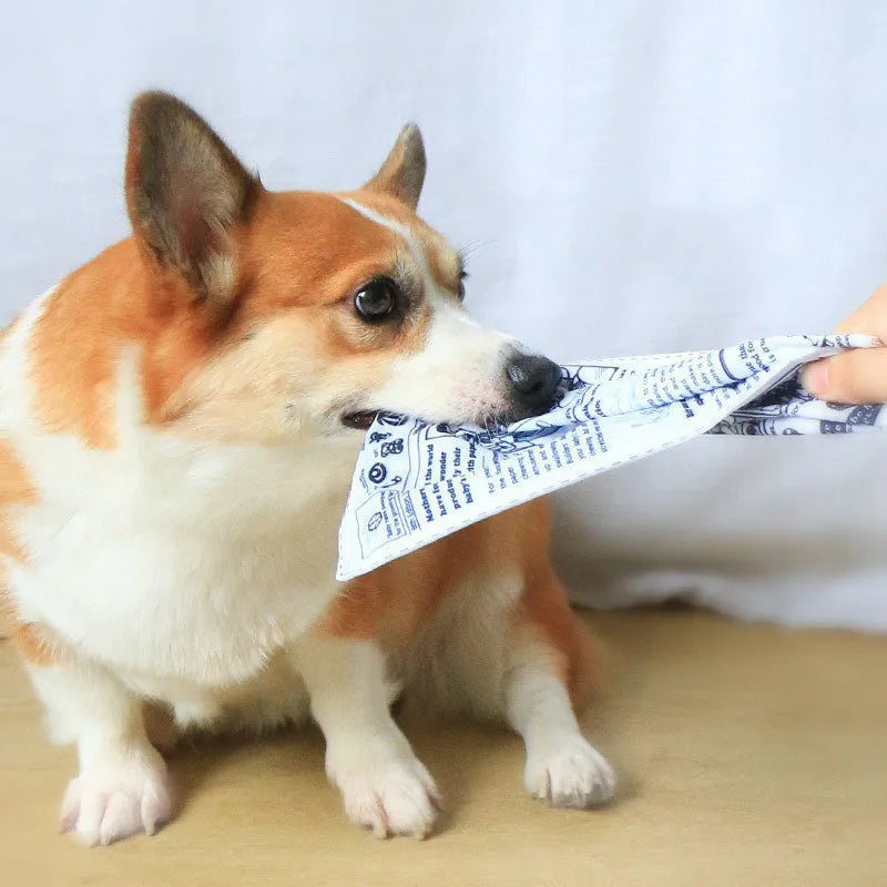 Tearproof squeaking dog toy designed like a newspaper playingcard for corgi and puppy chew play.