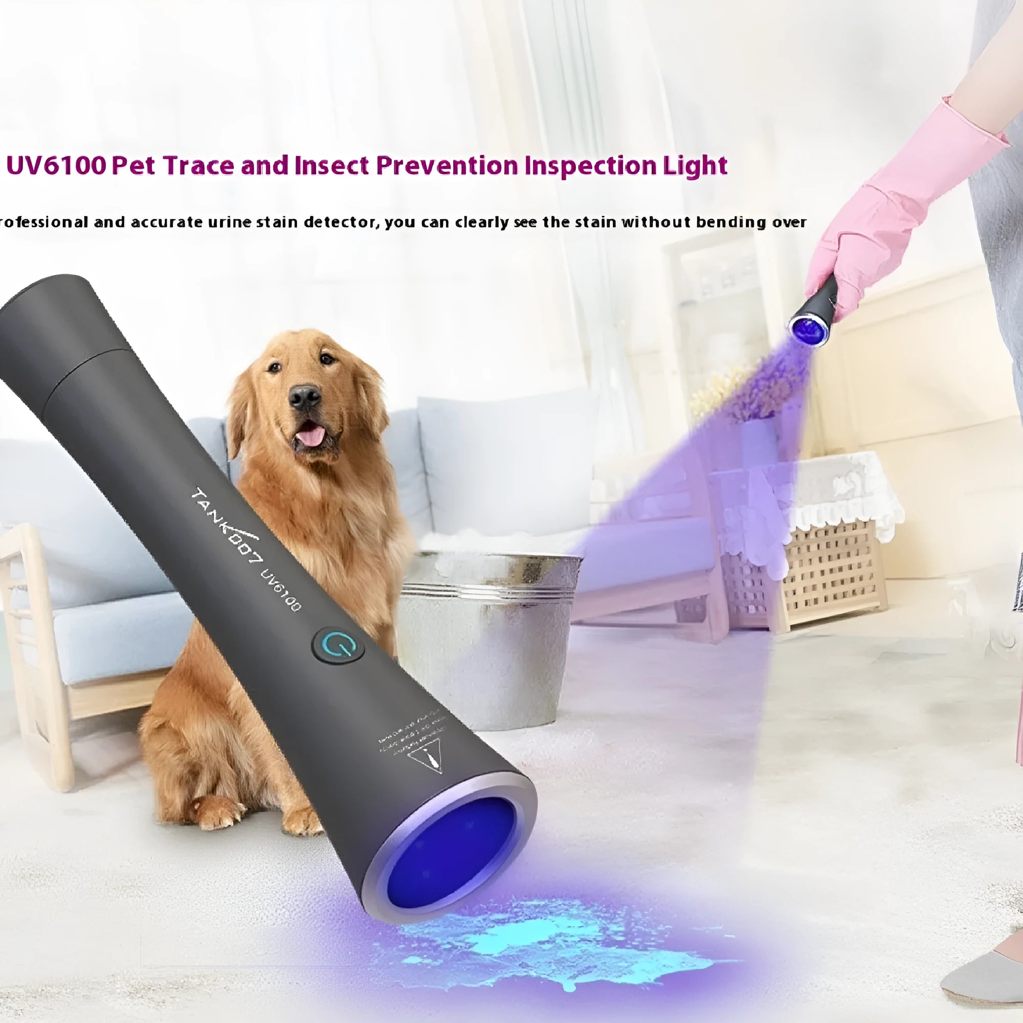Aluminium UV flashlight for detecting pet urine stains and insects with USB-C charging port