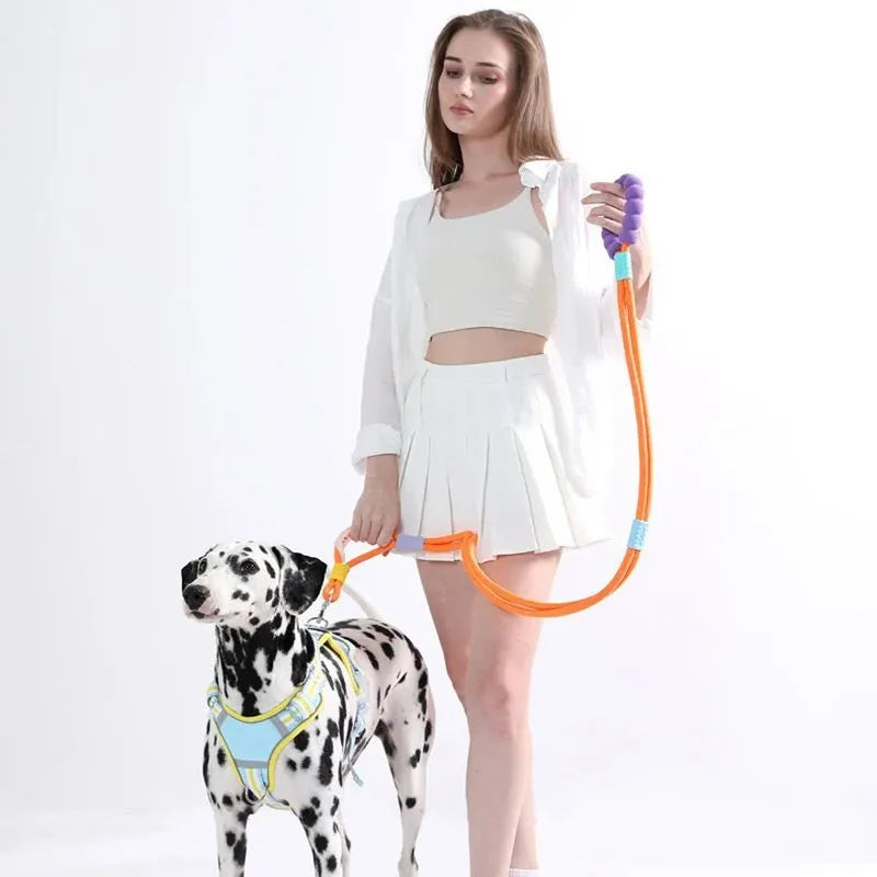 140cm dog traction leash with anti-slip foam handle in four colour options