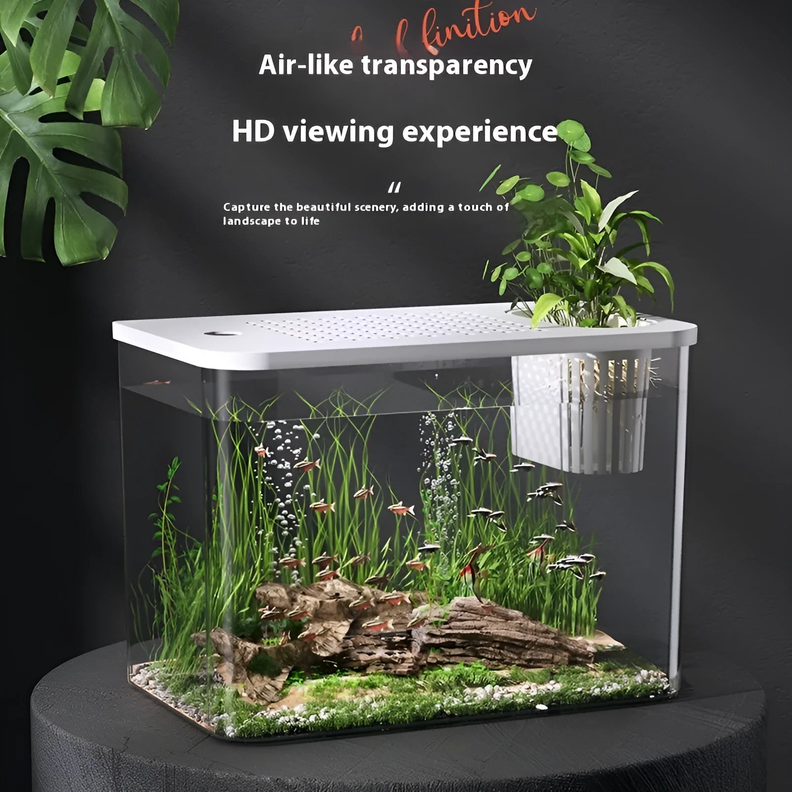 Compact black plastic betta fish tank with lid, dimensions 32cm long by 18.5cm wide.