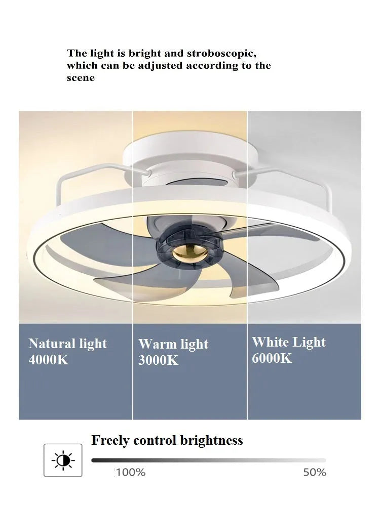 Modern simple overhead fan lamp with light Φ500 diameter showing PC blades and acrylic lampshade
