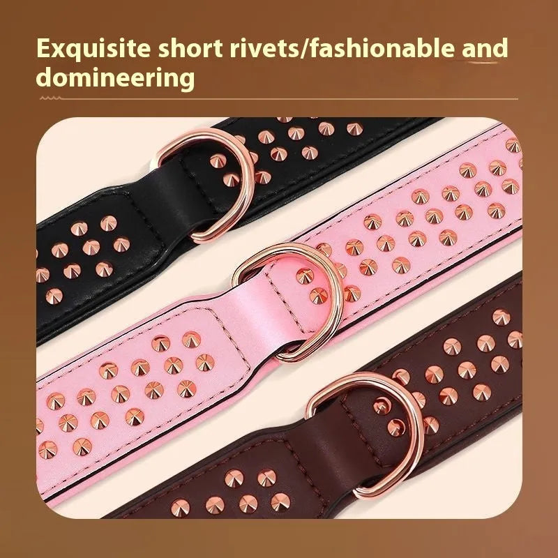 Brown leather dog collar with silver metal rivets on a black background.