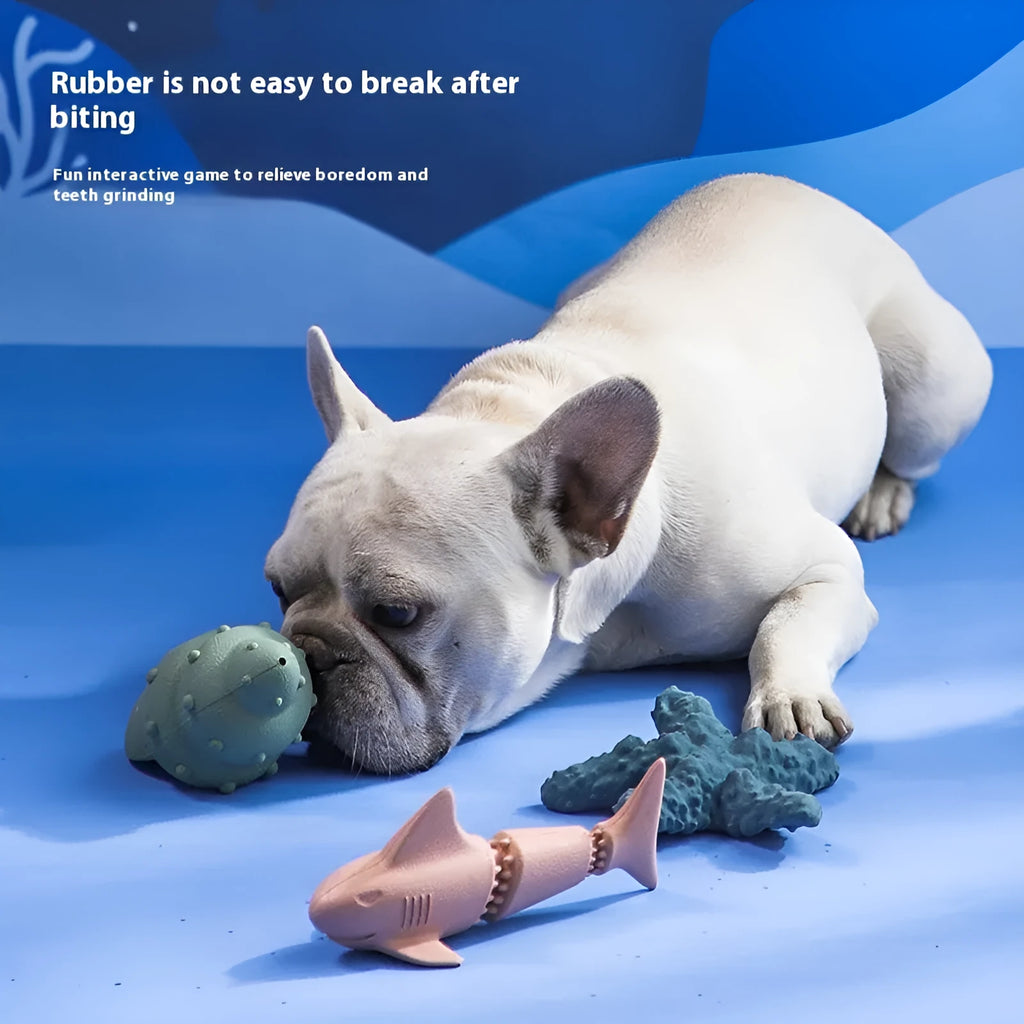 Deep sea shark rubber dog toy for puppies in marine animal shapes