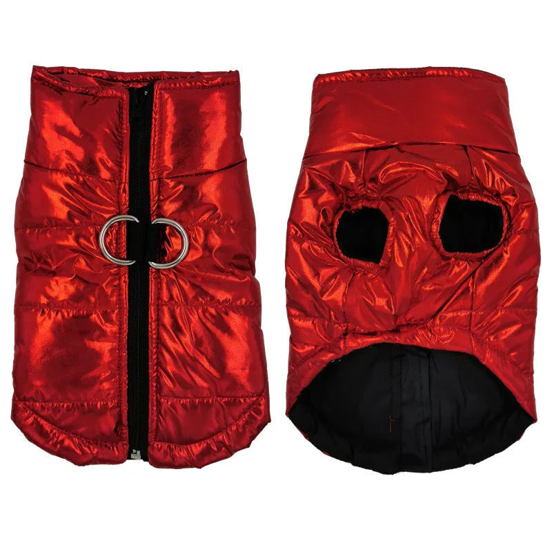 Bright blue cotton waterproof dog vest with snap fasteners, front view, for medium-sized dogs