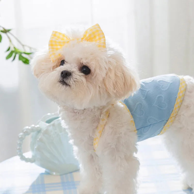 Small dog wearing a blue vest with a heart texture and back bow suspenders.