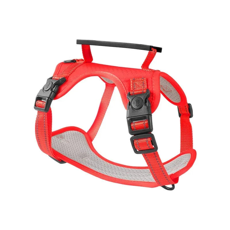 Adjustable polyester dog chest harness and matching lead in red, shown on a dog.