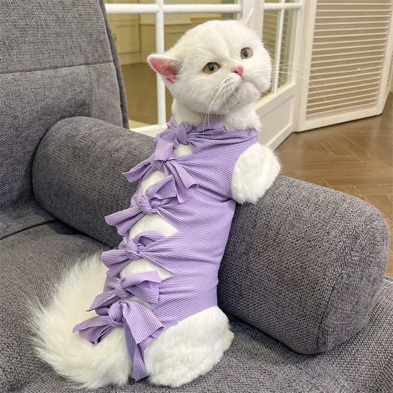 Blue lace-up back cat recovery suit for post-sterilisation care on a grey cat