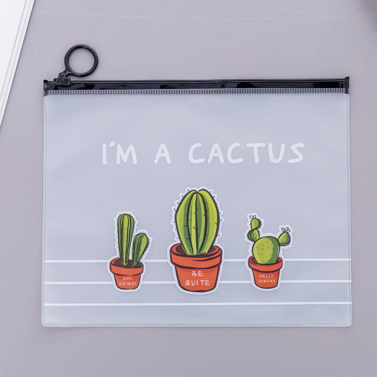 Clear PVC pencil case with cactus print, sealed closure, 17.1 x 21.2 cm, containing pens and pencils