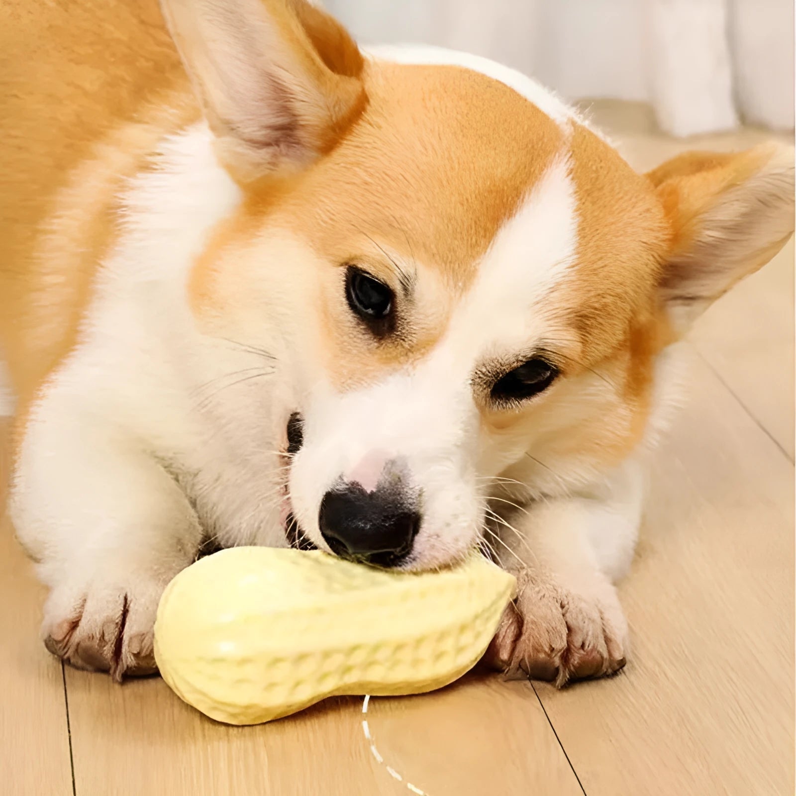 Yellow peanut-shaped dog chew toy with textured surface and squeaker
