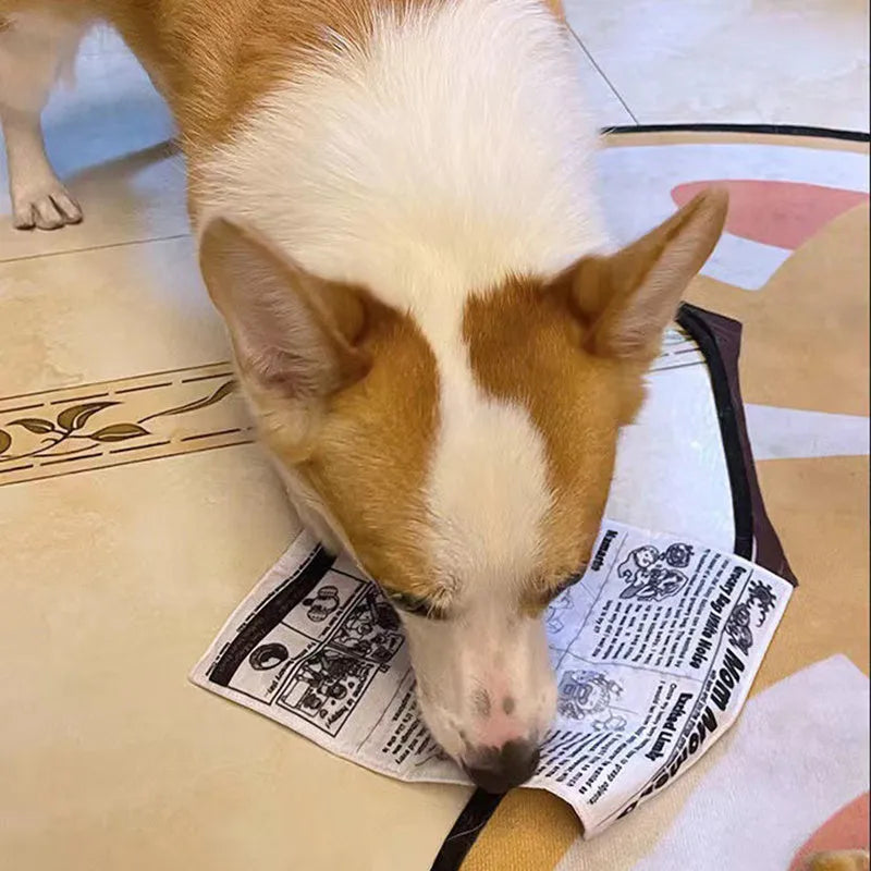 Tearproof squeaking dog toy designed like a newspaper playingcard for corgi and puppy chew play.