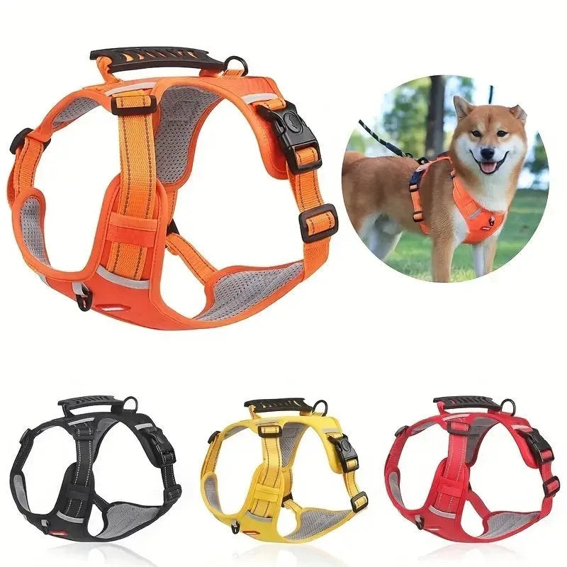 Adjustable polyester dog chest harness and matching lead in red, shown on a dog.