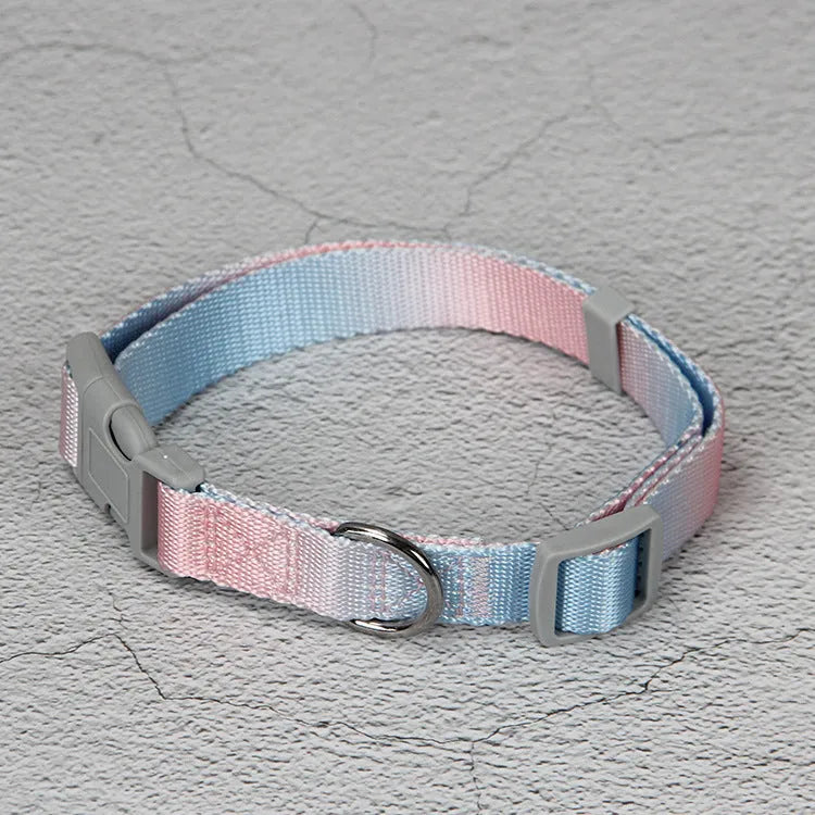 Nylon dog leash set showing gradient colour options including pink blue yellow purple green patterns