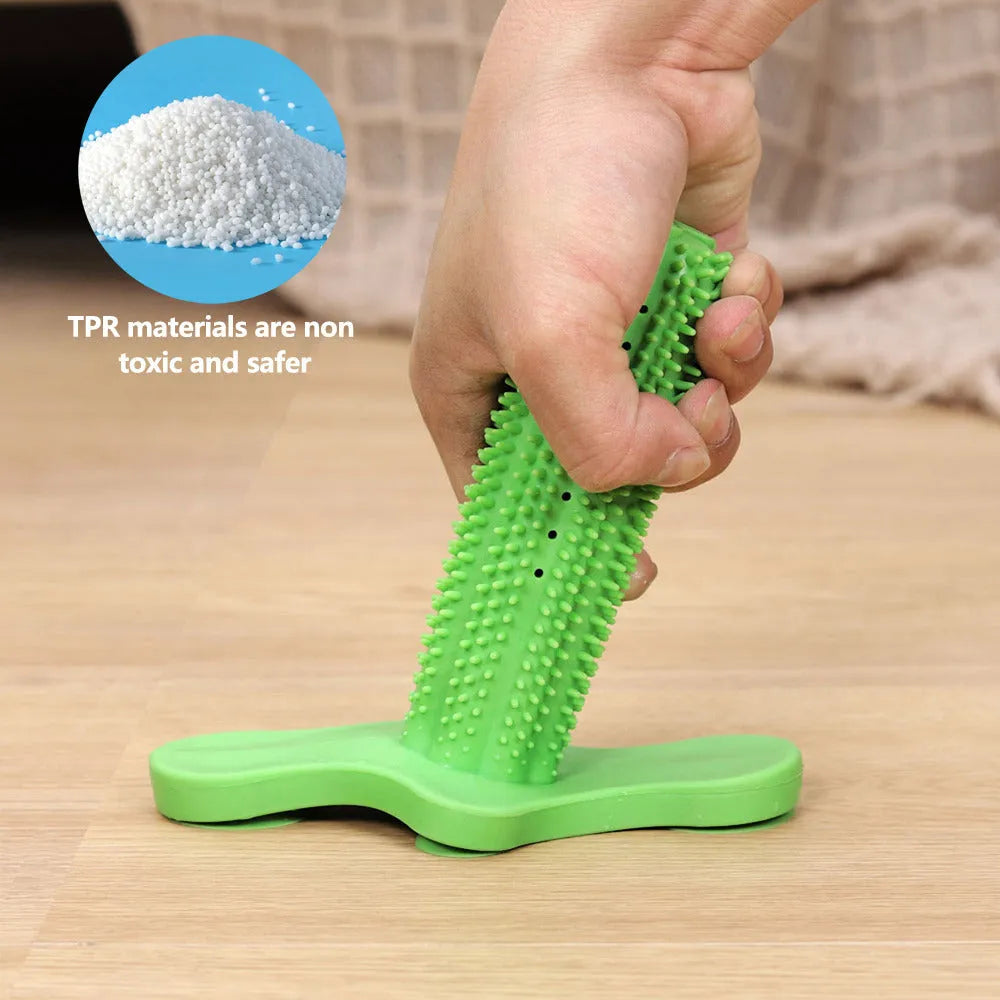 Green TPR dog chew toy with suction cup, small and large molar rods for teeth cleaning