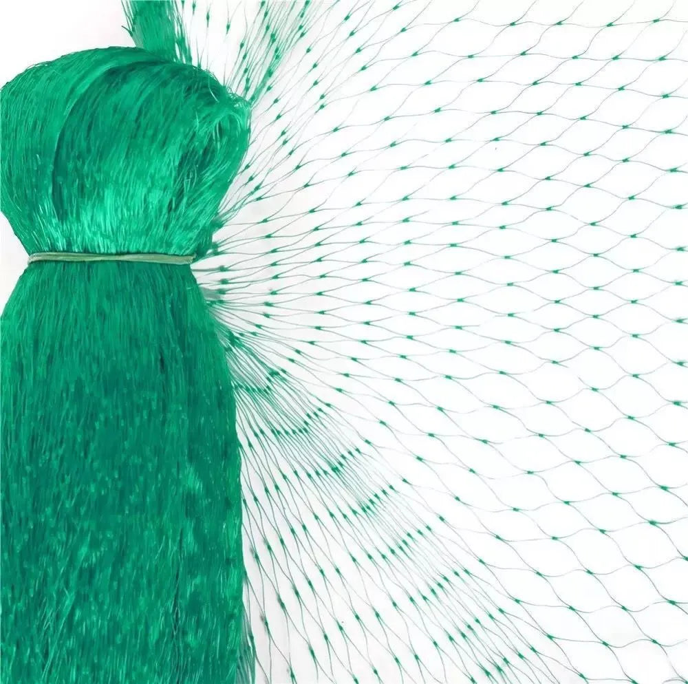 Green PP anti-bird netting draped over garden plants for fruit and vegetable protection