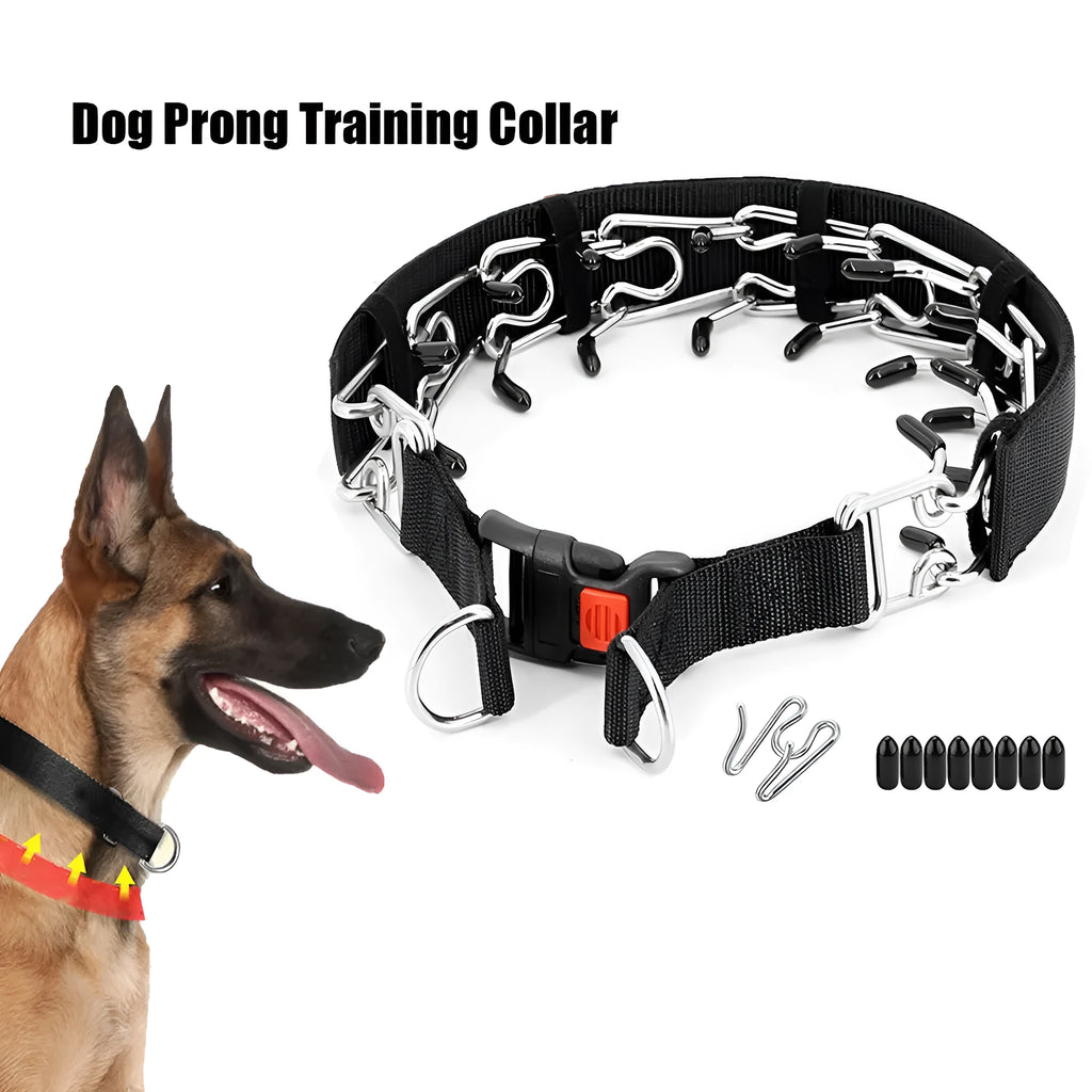 A metal chain dog training collar with a spike design, shown in black, reflective blue, and green colours.