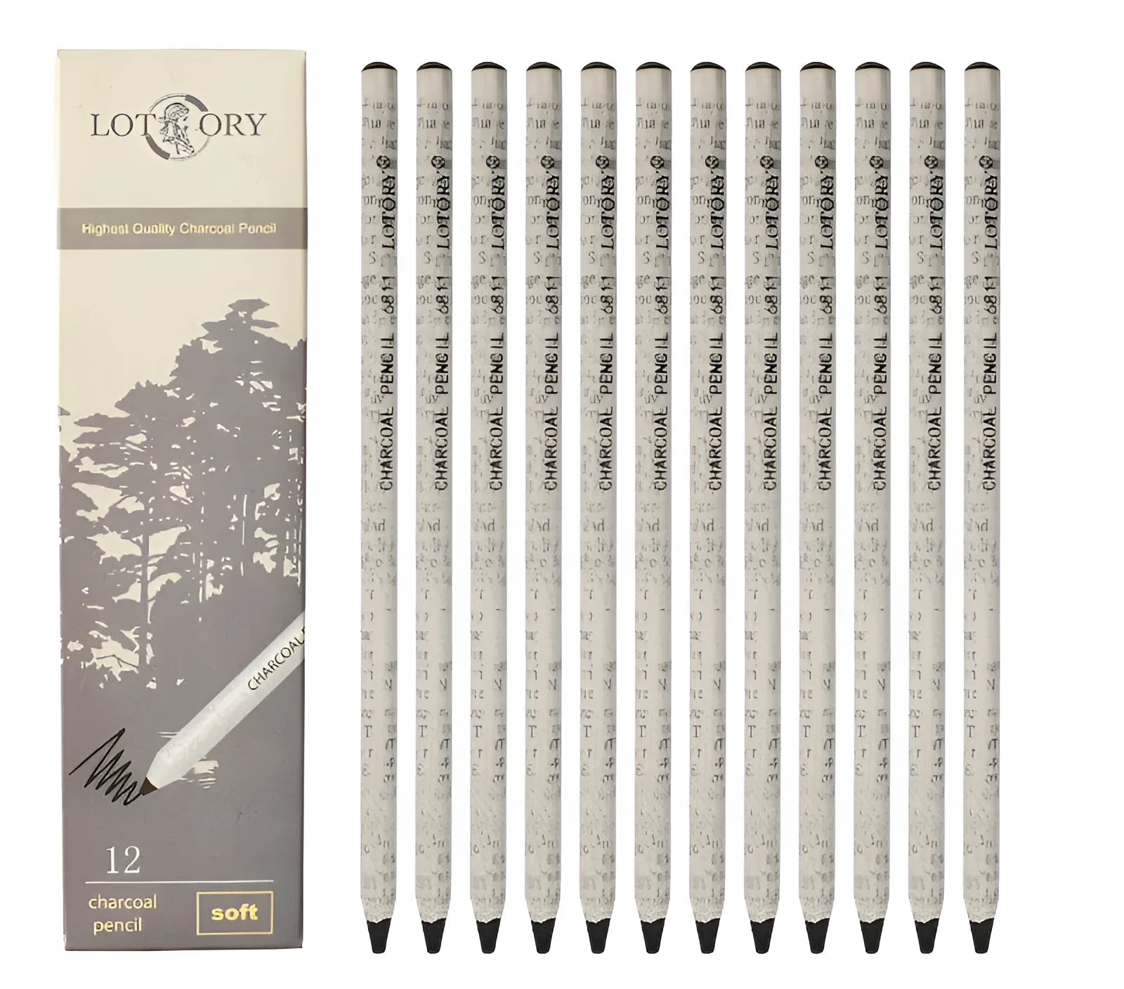 Professional charcoal drawing set with 34 pencil types including soft carbon tools and grades from 2H to EE