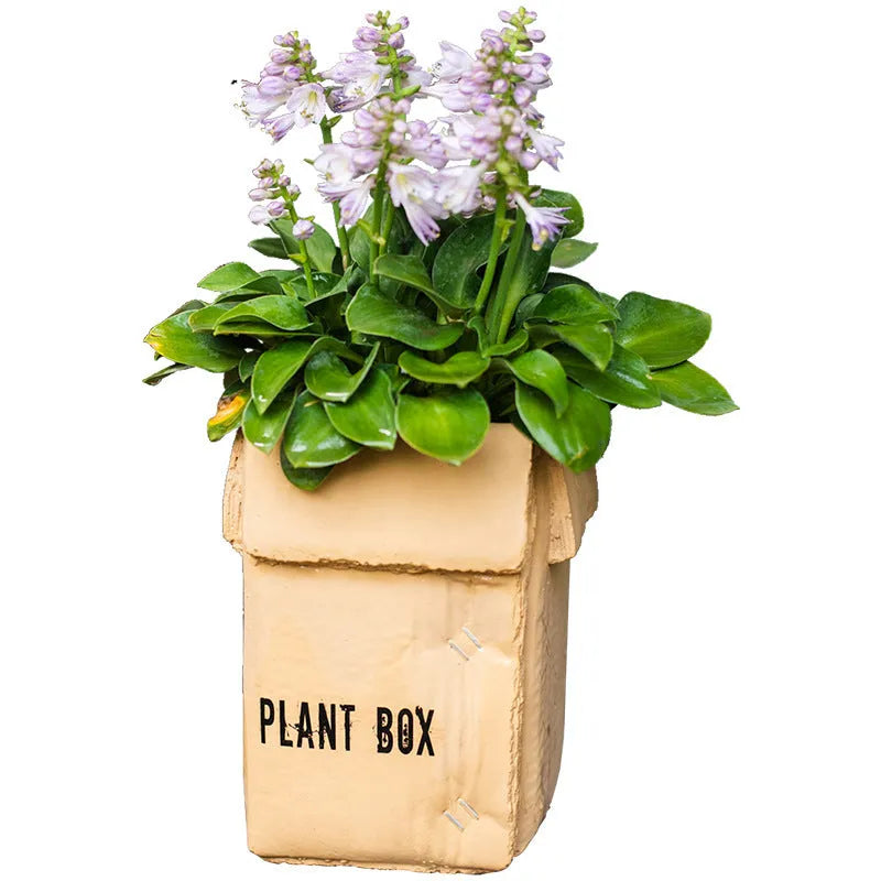 Cement brown paper box design flower pot with bottom drainage holes on a table.
