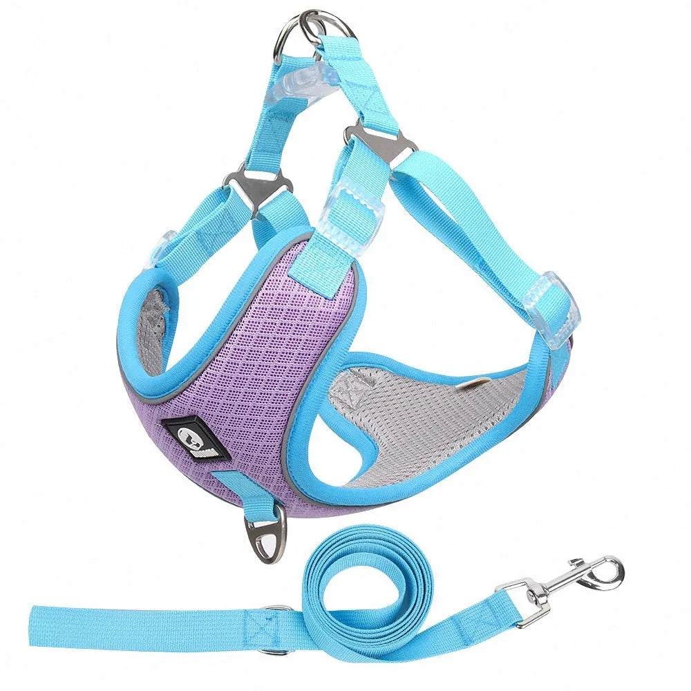 Adjustable mesh dog harness with reflective piping and leash in multiple colour options