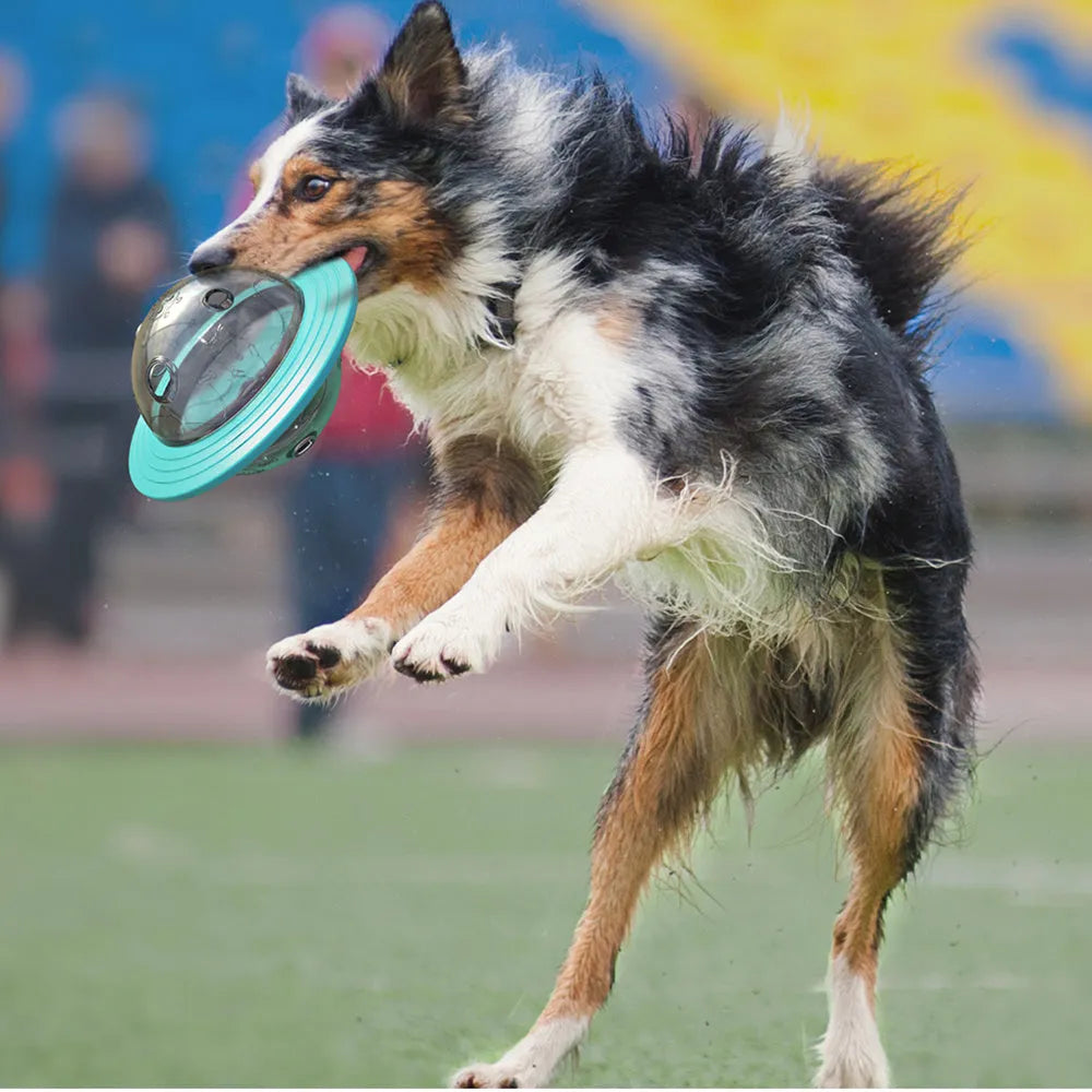 Blue dog treat ball with food dispensing function for slow feeding and IQ training