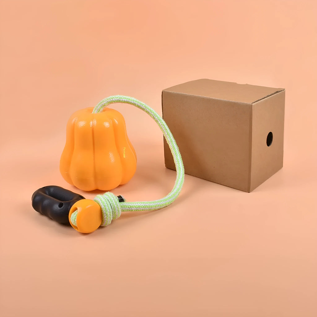 Orange pumpkin-shaped plastic dog chew toy with a blue rope attached for tug and fetch games.