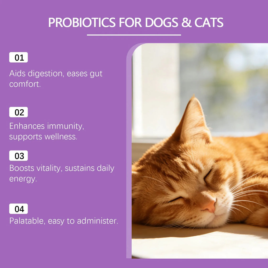 Pet probiotic powder container 200g chicken flavour with Bacillus subtilis and FOS for digestive care