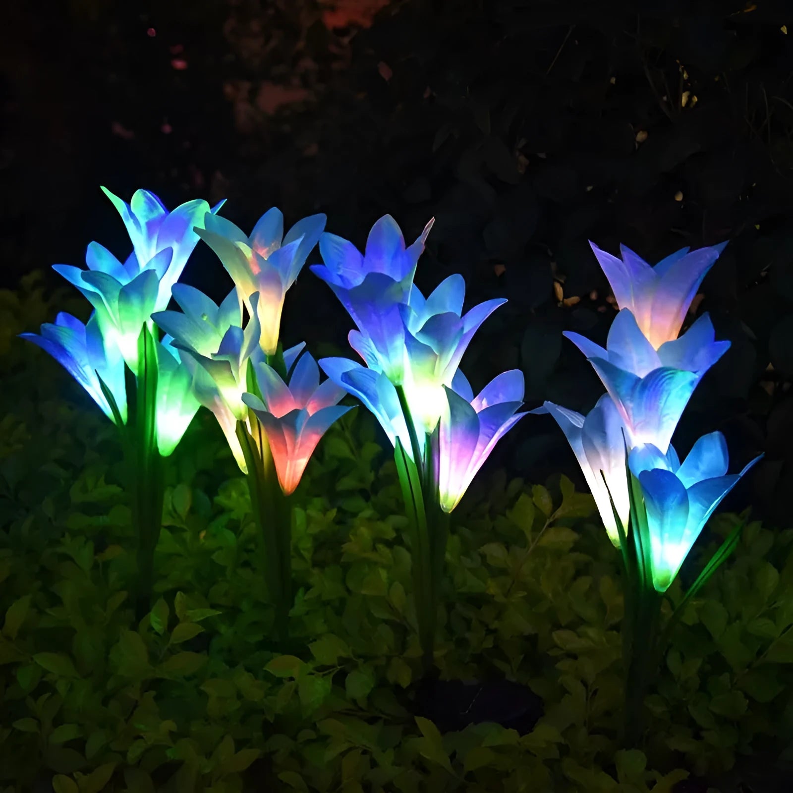 Colour LED solar-powered flower-shaped ground lamp for garden lighting.