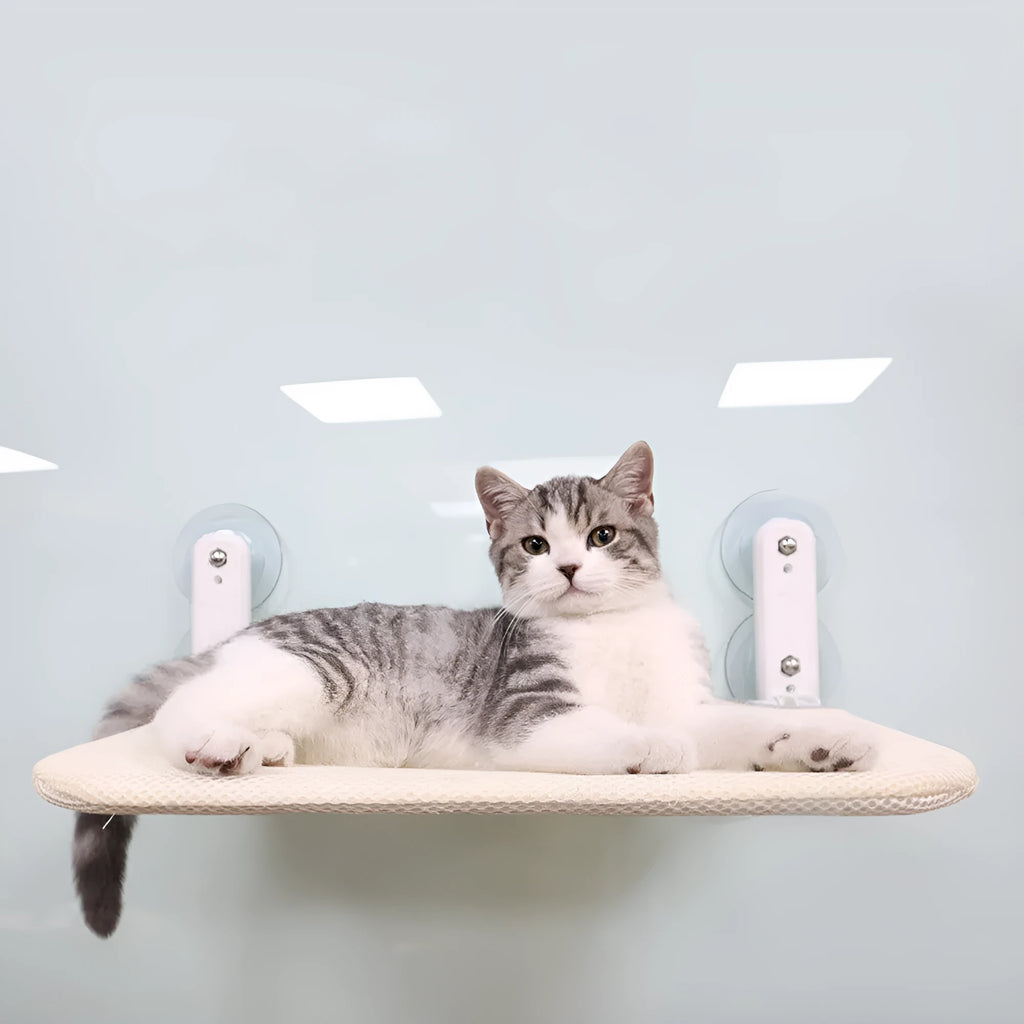 Cat litter seat cushion with stainless steel frame and suction cups on window