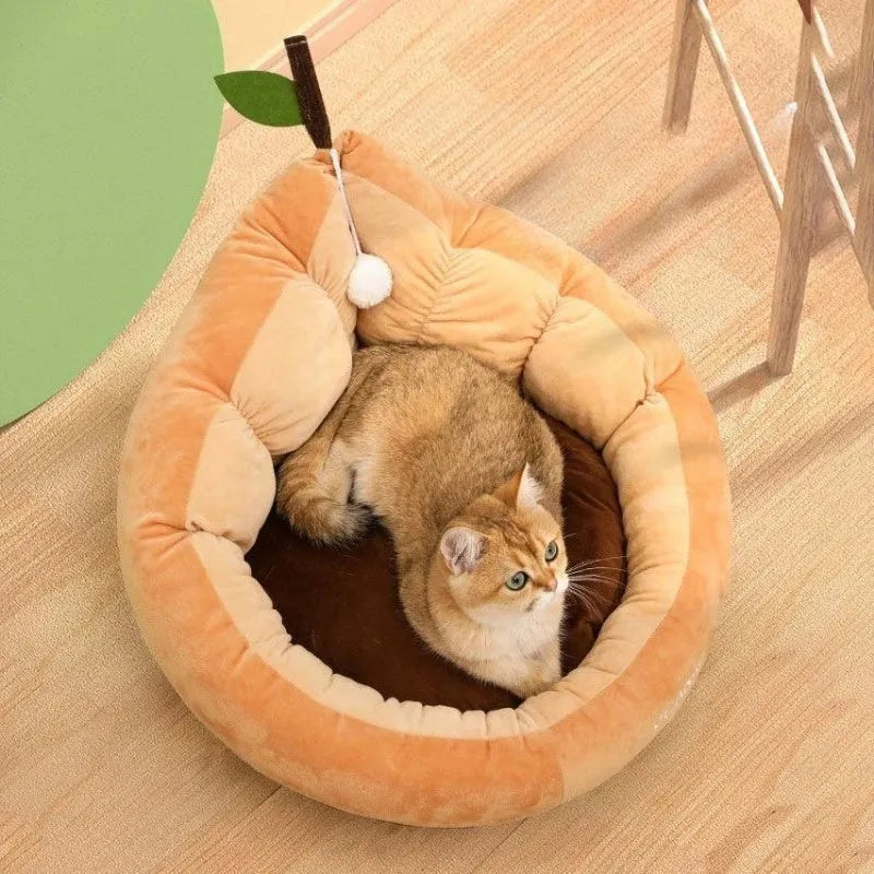 Cotton pet bed for cats and small dogs with removable cushion in three size options
