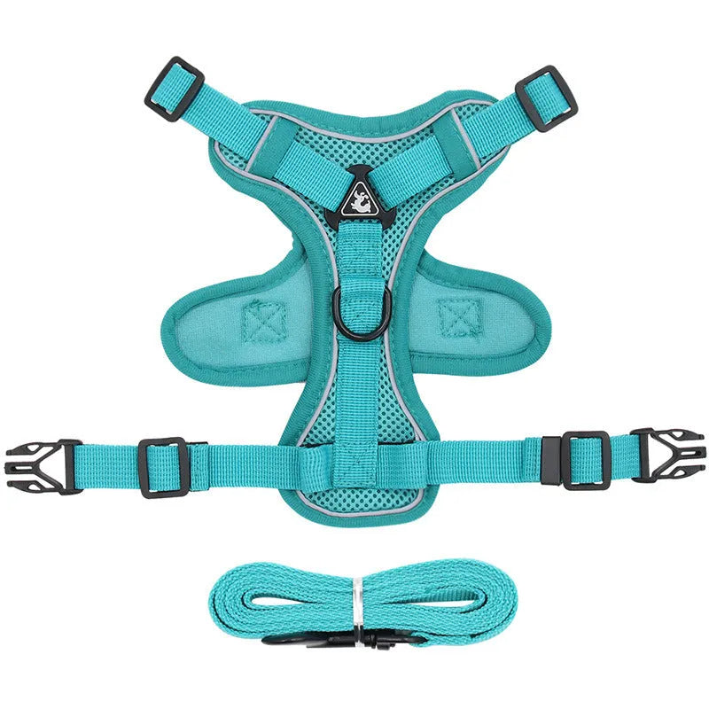 Cat anti-breakaway chest harness with 1.5-metre flat rope lead in grey, silver gradient chain detail