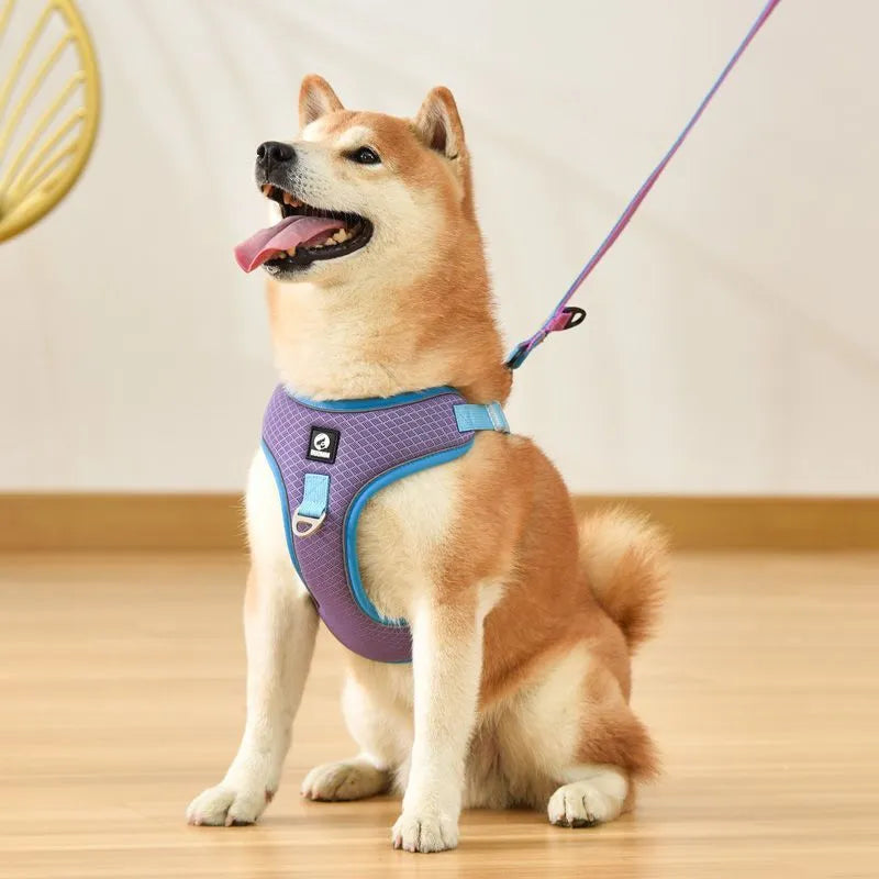 Adjustable mesh dog harness with reflective piping in light purple colour on a small dog