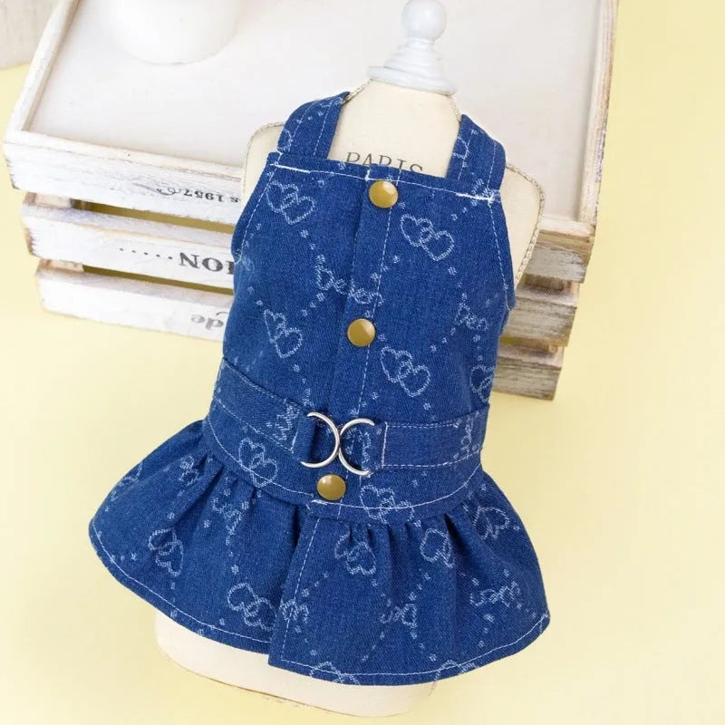 Bichon Frise dog wearing a light blue denim princess dress with a bracket skirt.