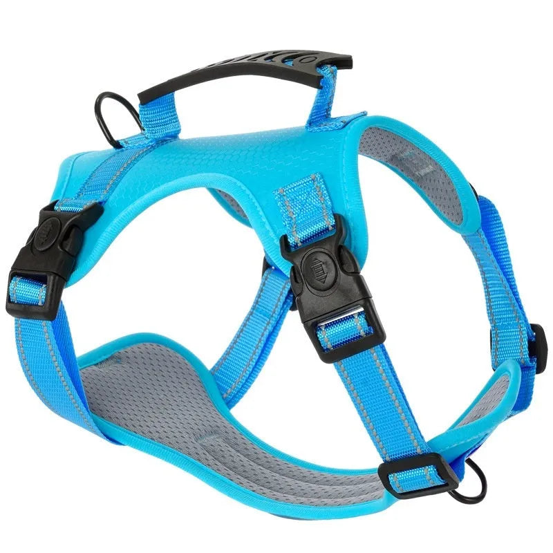Polyester dog chest harness and lead set in various colours including red, blue, and yellow.