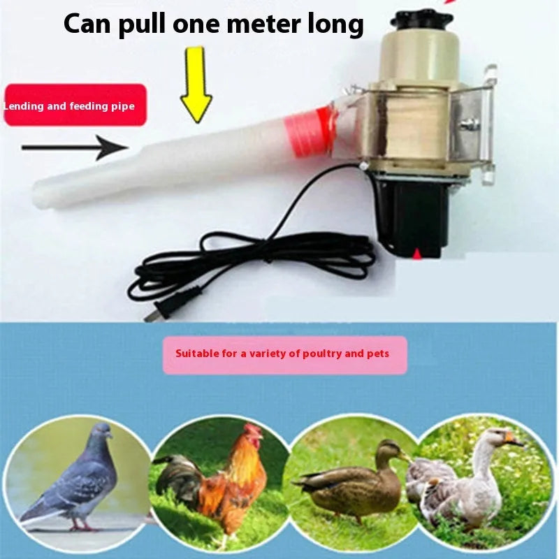 Solar panel automatic animal feeding machine with timer for chickens and ducks.