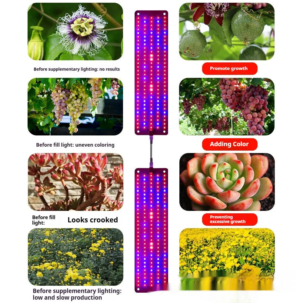 LED plant grow light panel with 150 beads, 12V DC input, PC shell, IP42 rating, red blue or sun warm light options