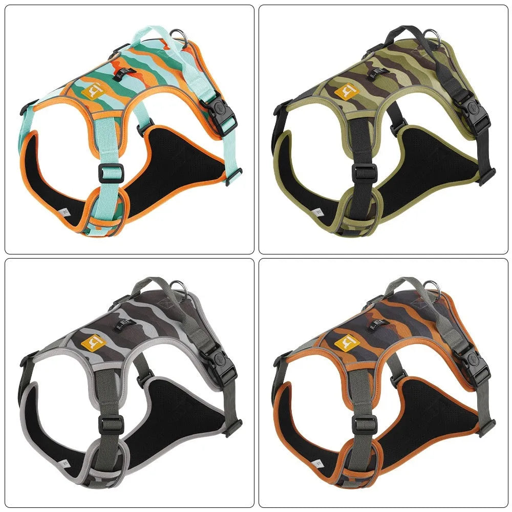 Orange reflective dog harness and hand-hold lead on a grassy background.