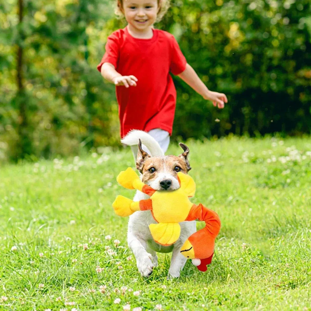Screaming chicken sound dog chew toy in rubber material showing black, green and orange colour options