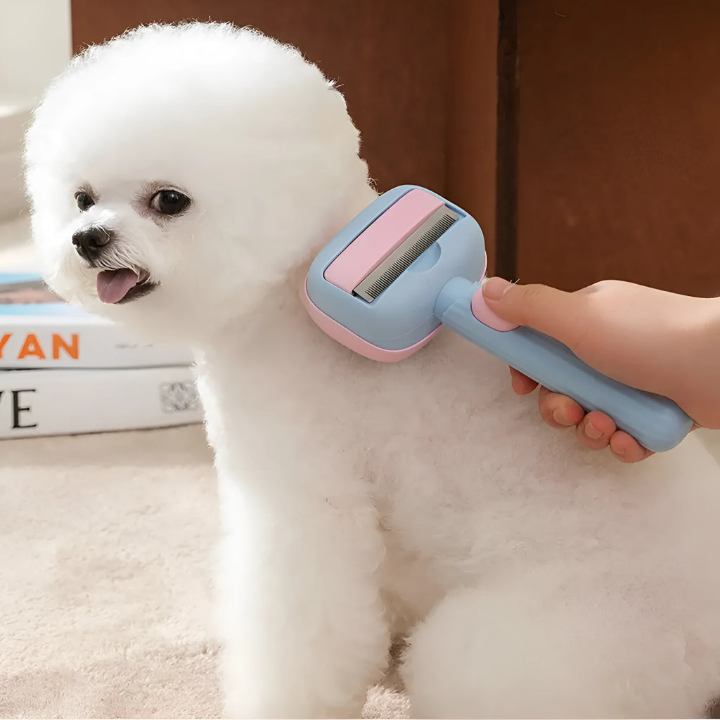 Blue double-sided pet grooming brush showing deshedding rake and dematting comb on a white background.