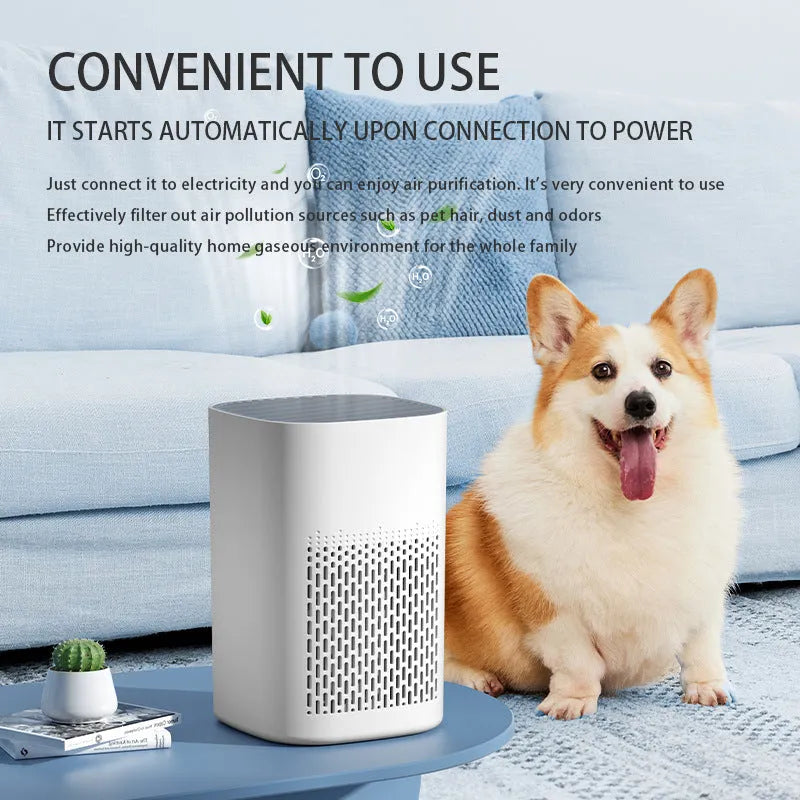 Simple-style desktop air purifier with USB port on a wooden desk.
