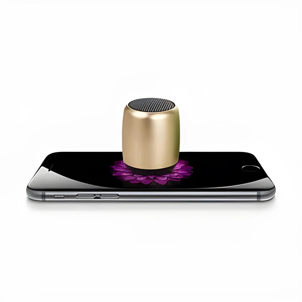Compact portable Bluetooth wireless speaker in black, blue, gold, or pink colour.