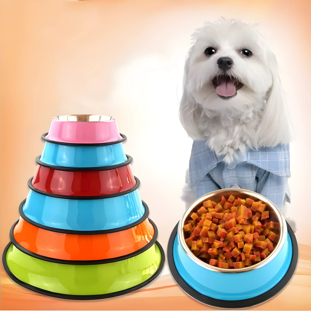 Stainless steel pet bowl with melamine outer pot in orange, non-slip base, dual use food and water