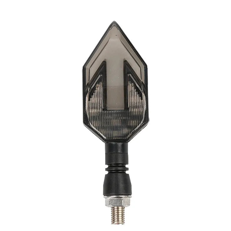 Arrow-shaped motorcycle directional signal lamp with LED lighting for 12v vehicle systems