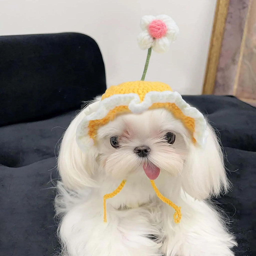Knitted pet hat with cartoon design for cats and small dogs in green colour