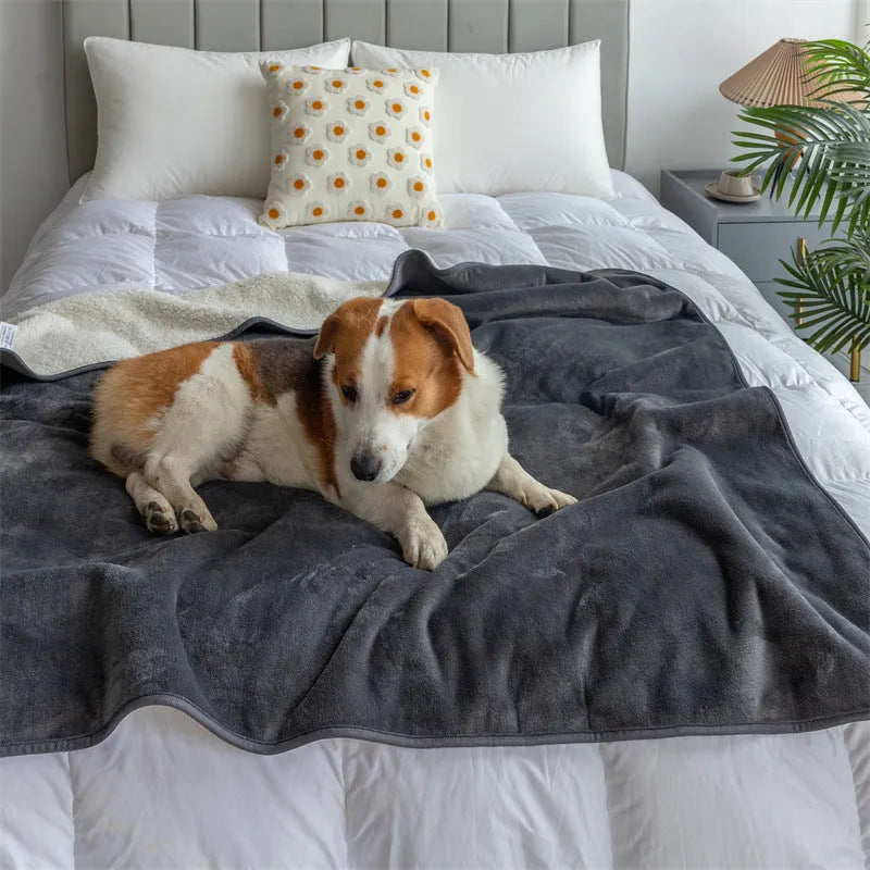 Grey lambswool waterproof dog blanket on a sofa, showing its cloth texture and size.