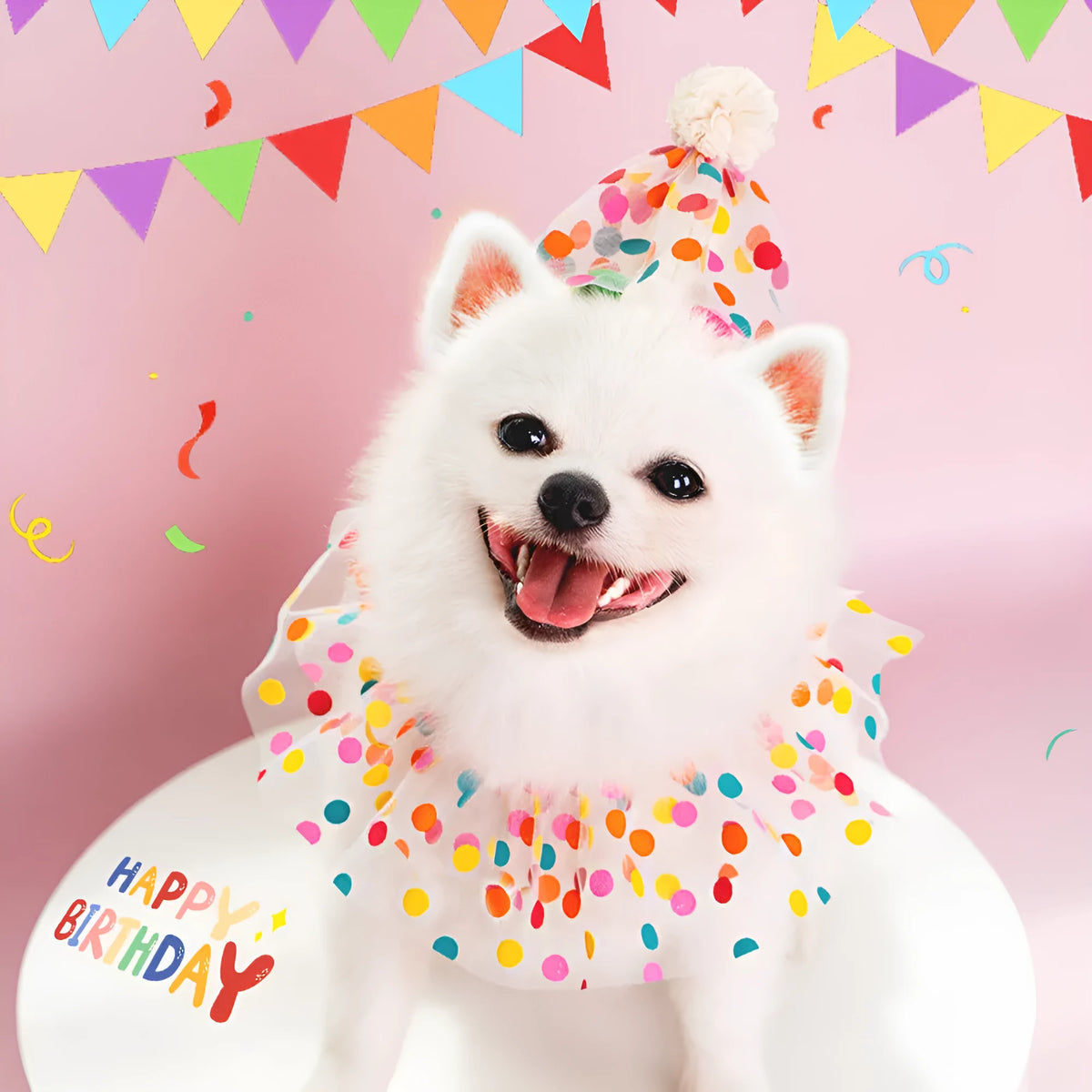 Pet polka dot lace bib dog birthday suit with colourful dots hat and saliva towel for small to medium dogs