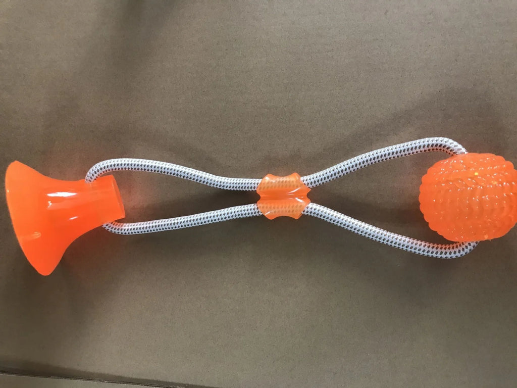 Pet dog rubber sucker molar toy in red colour on smooth surface